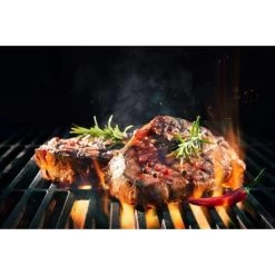 Grill'n'go One 2.0 Trådløst Stegetermometer -Tuin- En Buitengereedschap grillngo one 20 tradlost stegetermometer 5